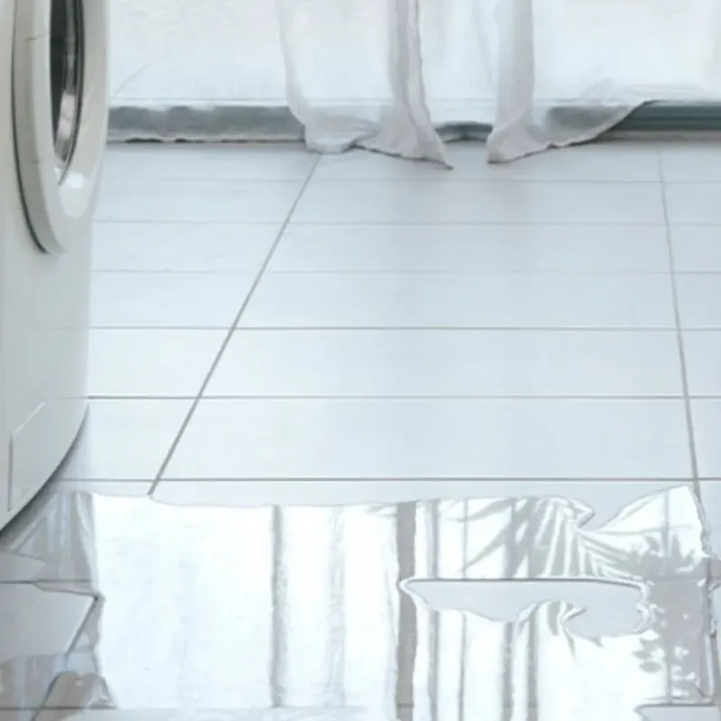 Appliance Leak Cleanup in Eureka, NV