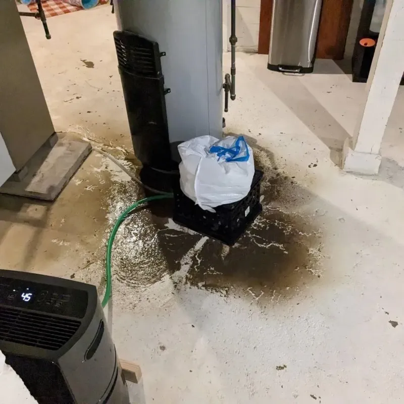 Sewage Backup Cleanup Service in Eureka, NV